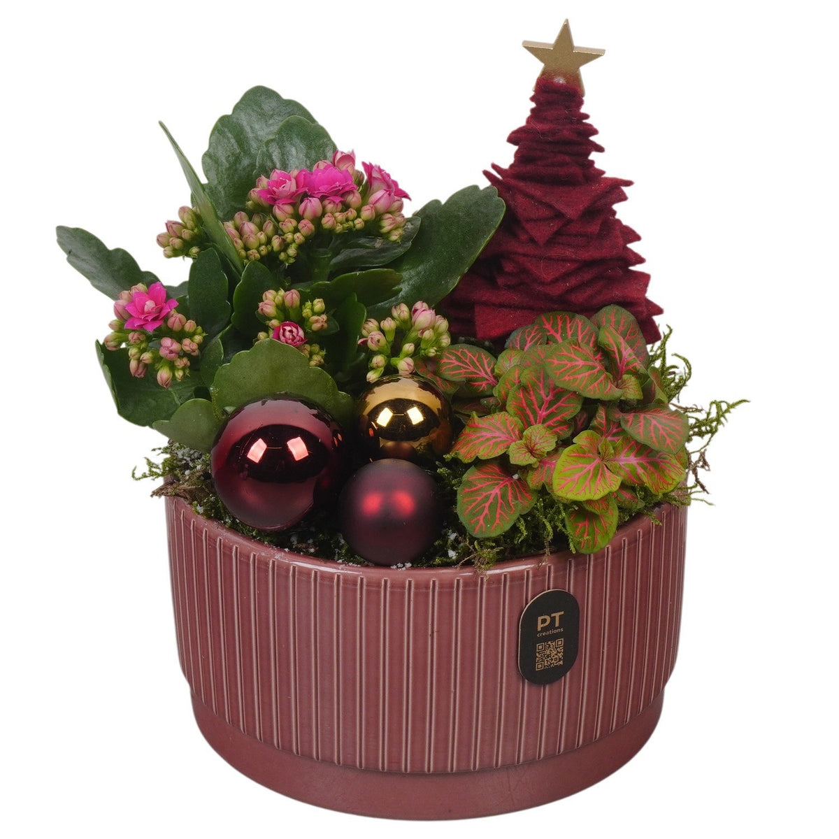 Christmas arrangement 22cm 16cm Pot