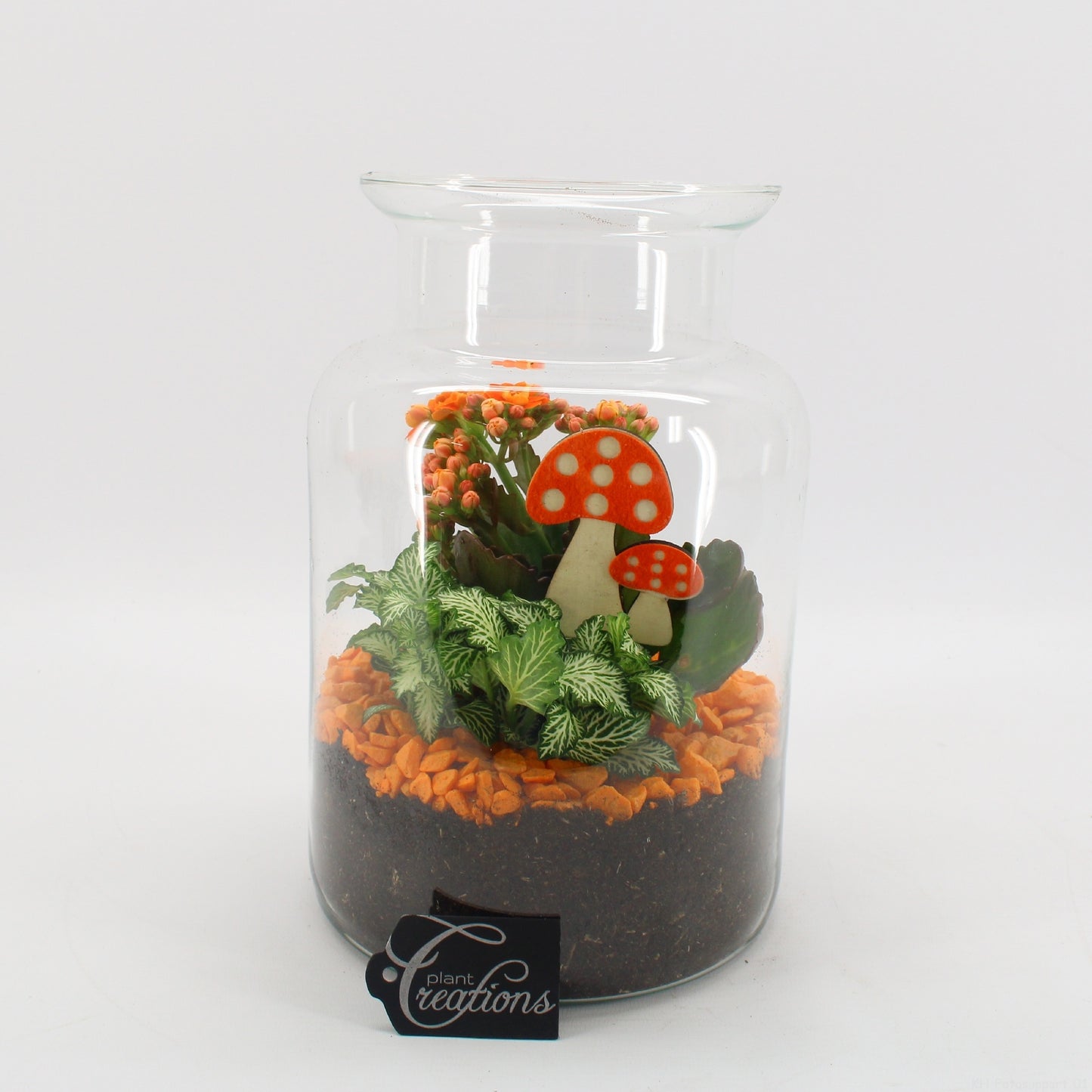 BHCR-2607 Autumn Fundamentals terrarium 25cm 17cm Pot