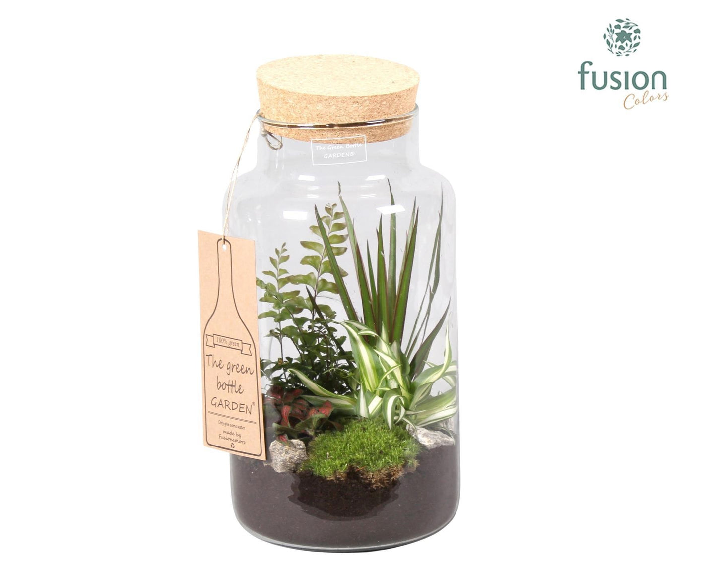 Fusioncolors BV Green Bottle Pot Large met Arrangement groene planten 4pp Pack of 3