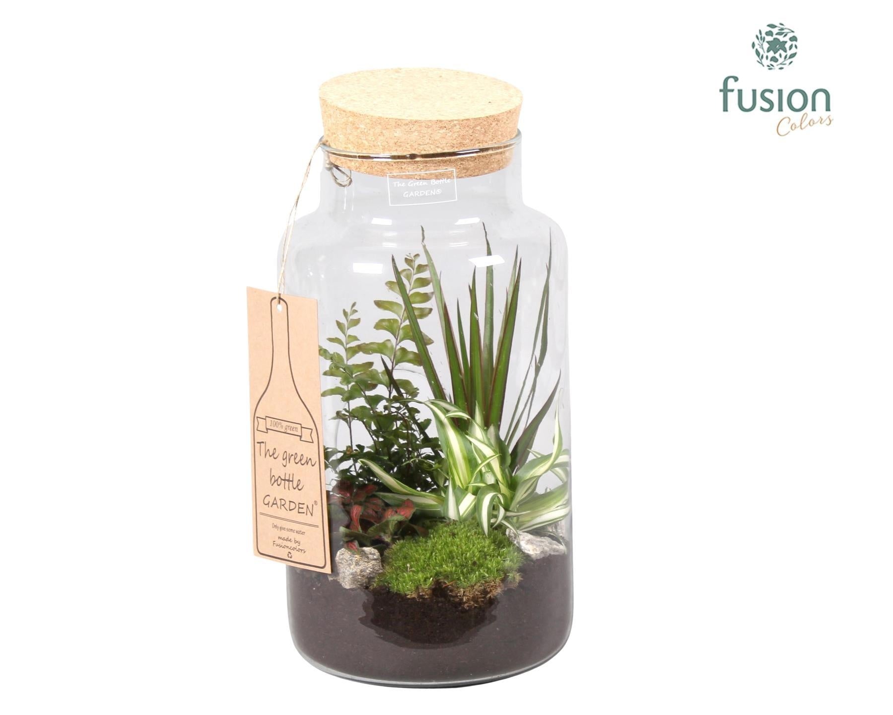 Fusioncolors BV Green Bottle Pot Large met Arrangement groene planten 4pp Pack of 3
