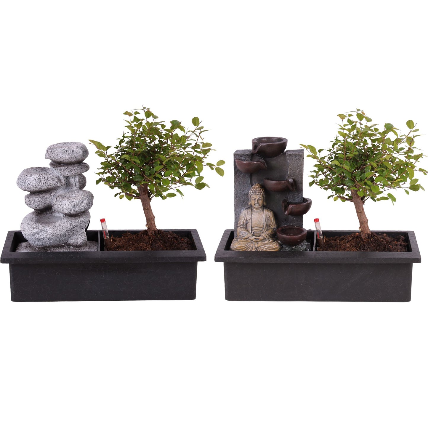 Bonsai mix 30cm 29cm Pot