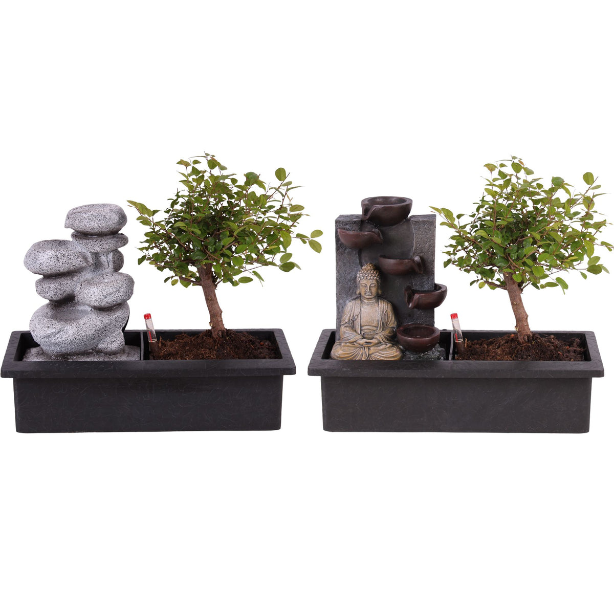 Bonsai mix 30cm 29cm Pot