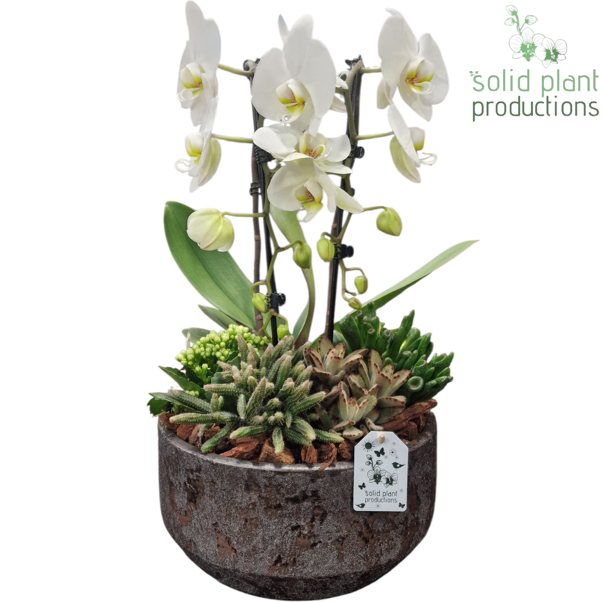 PH241 Maria Silver Bowl 50cm 28cm Pot
