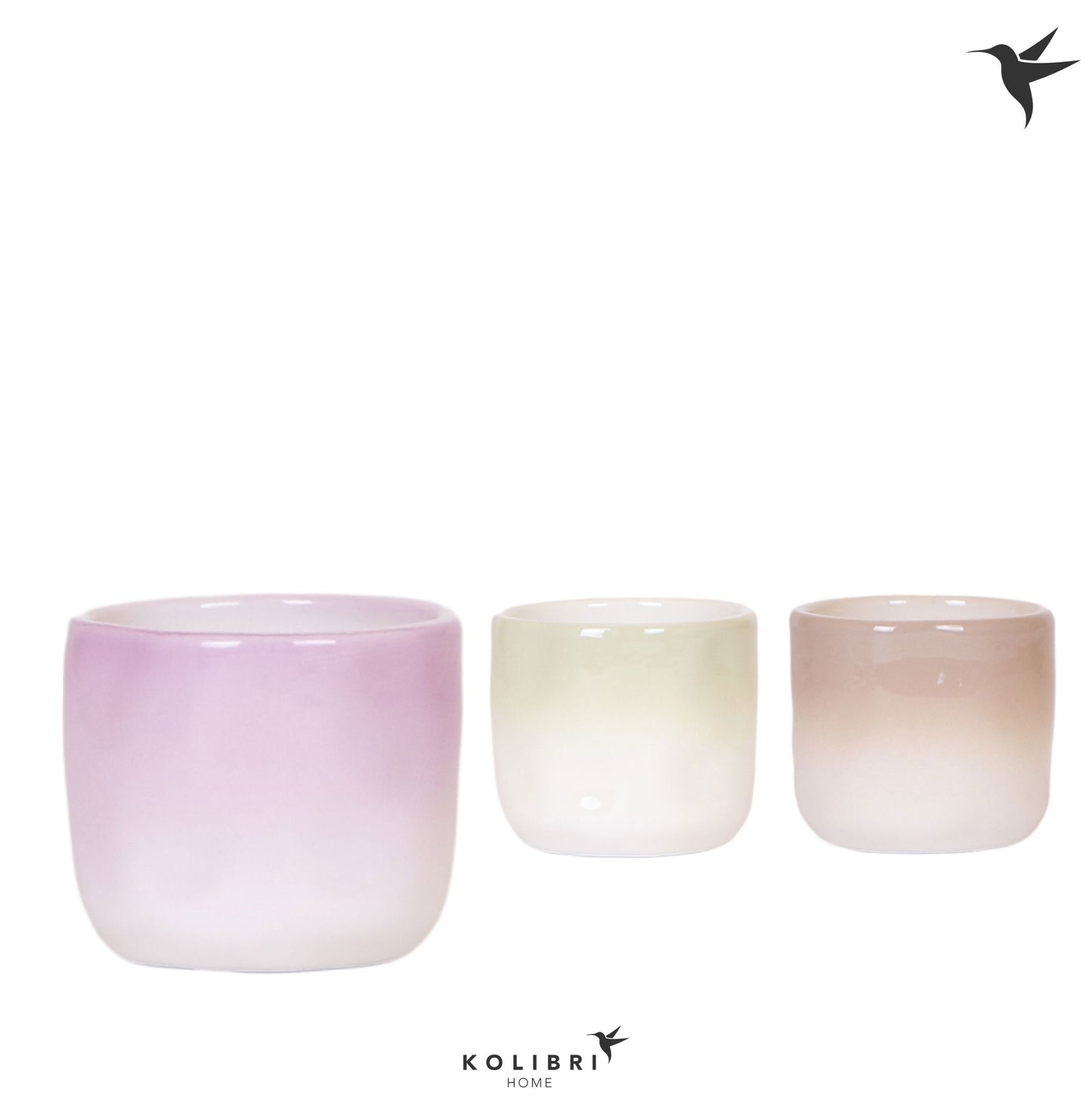 OK Plant Kolibri Home Gradience pot mix Pack of 12