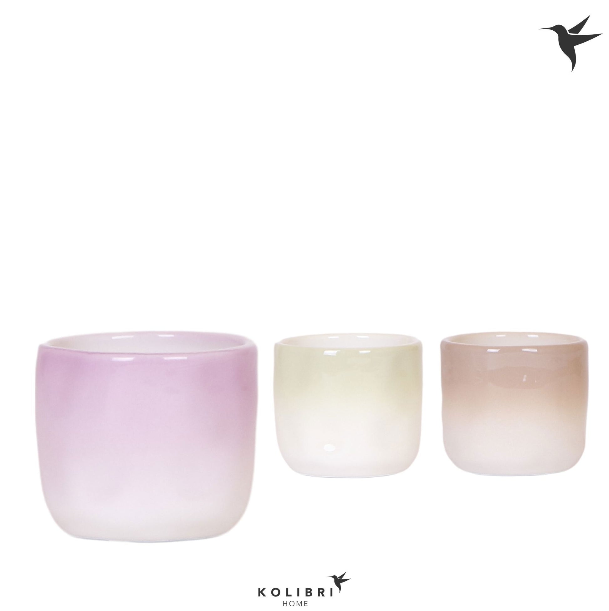 OK Plant Kolibri Home Gradience pot mix Pack of 12