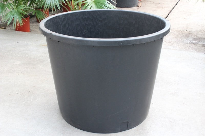 Plants 82cm 102cm Pot