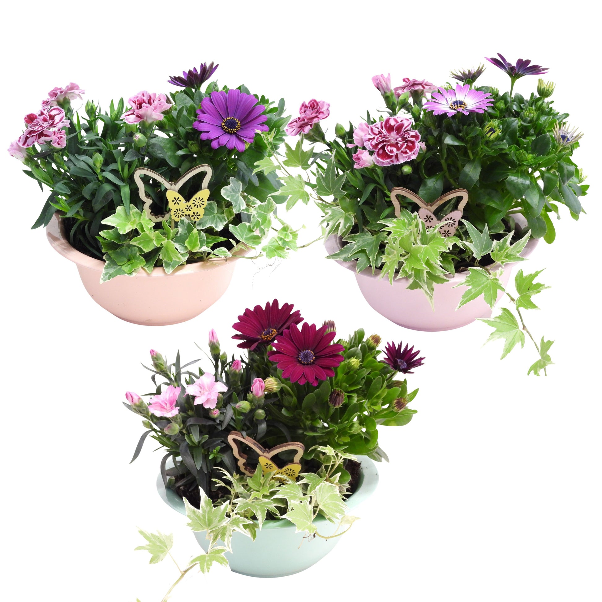 Outdoor arrangement 28cm 19cm Pot