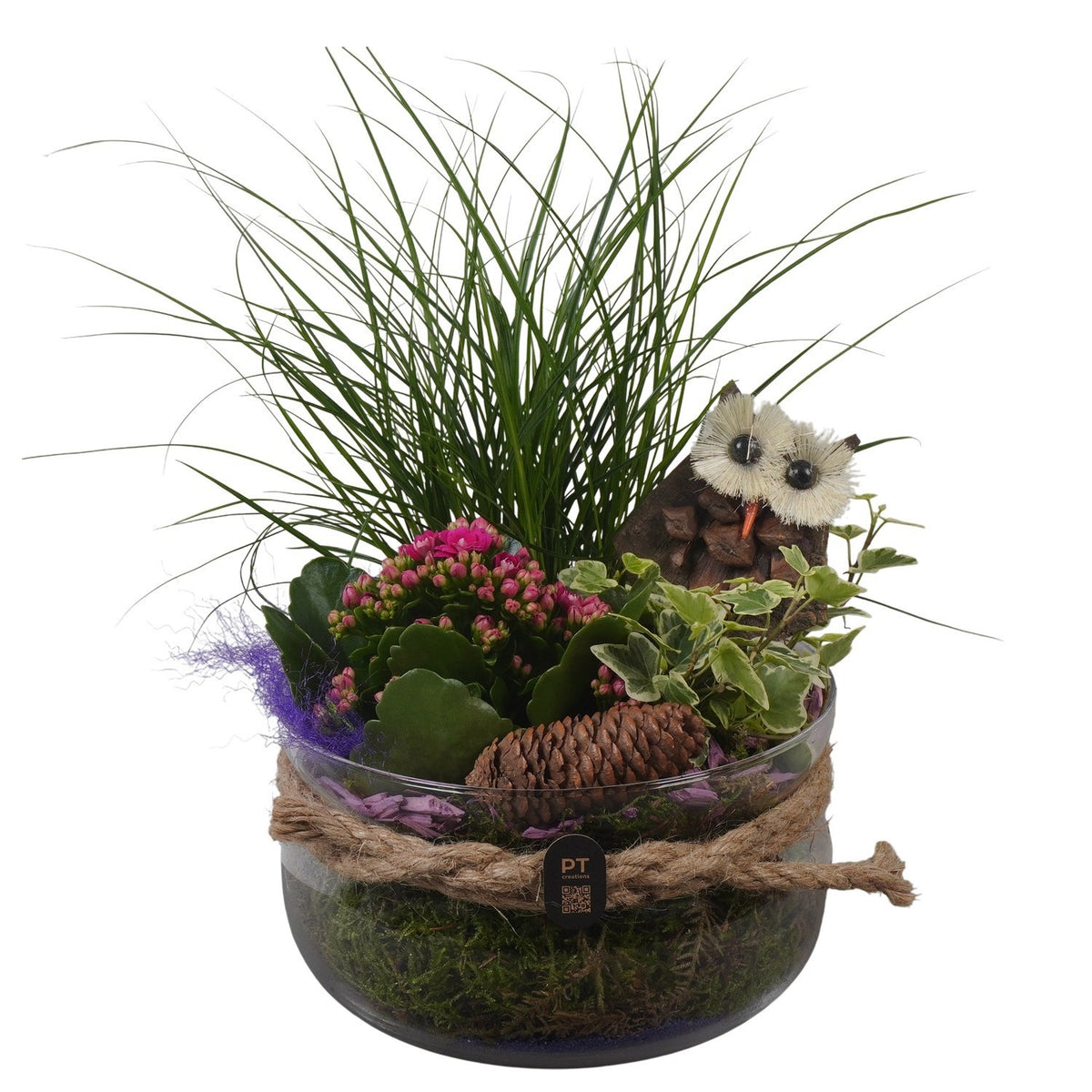 Indoor arrangement 32cm 18cm Pot