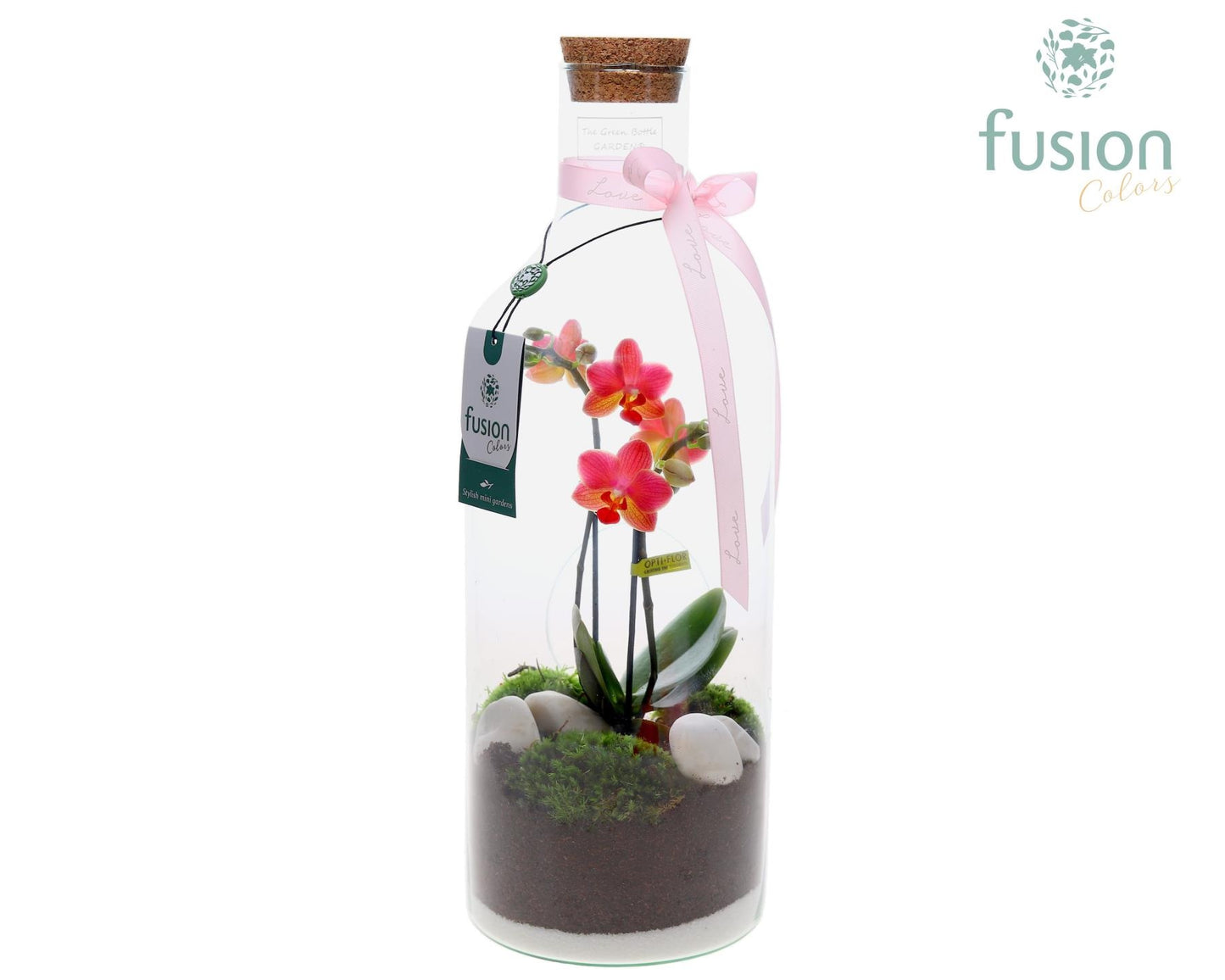 Green Bottle Fles Medium met Phalaenopsis 43cm 15cm Pot