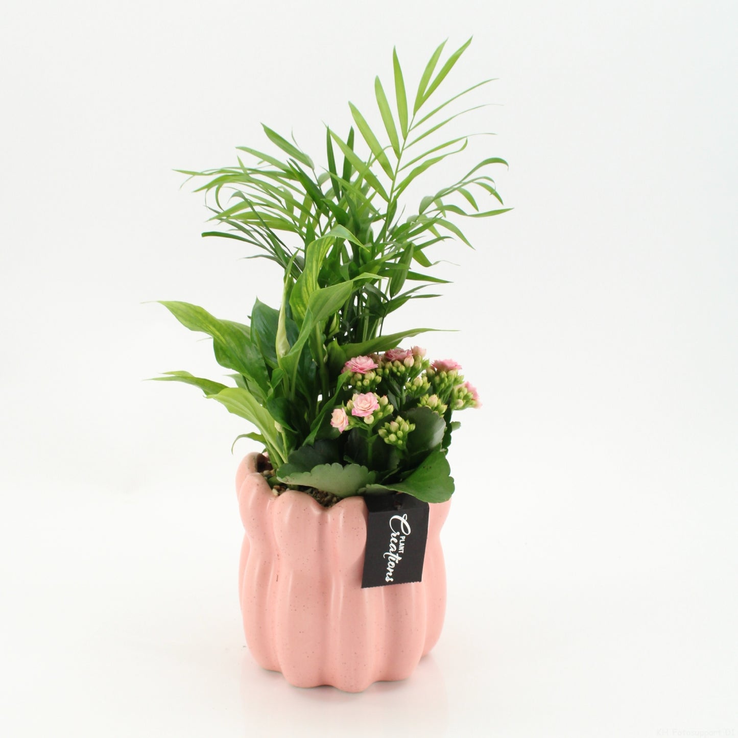 RECR-2617 Rentree 40cm 14cm Pot