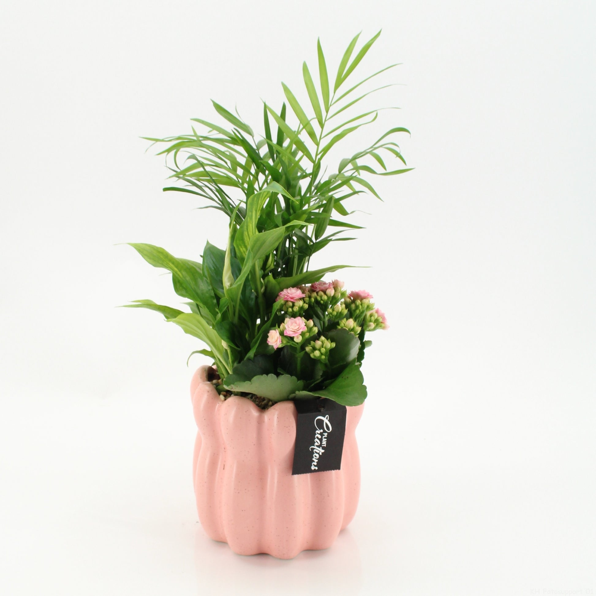 RECR-2617 Rentree 40cm 14cm Pot