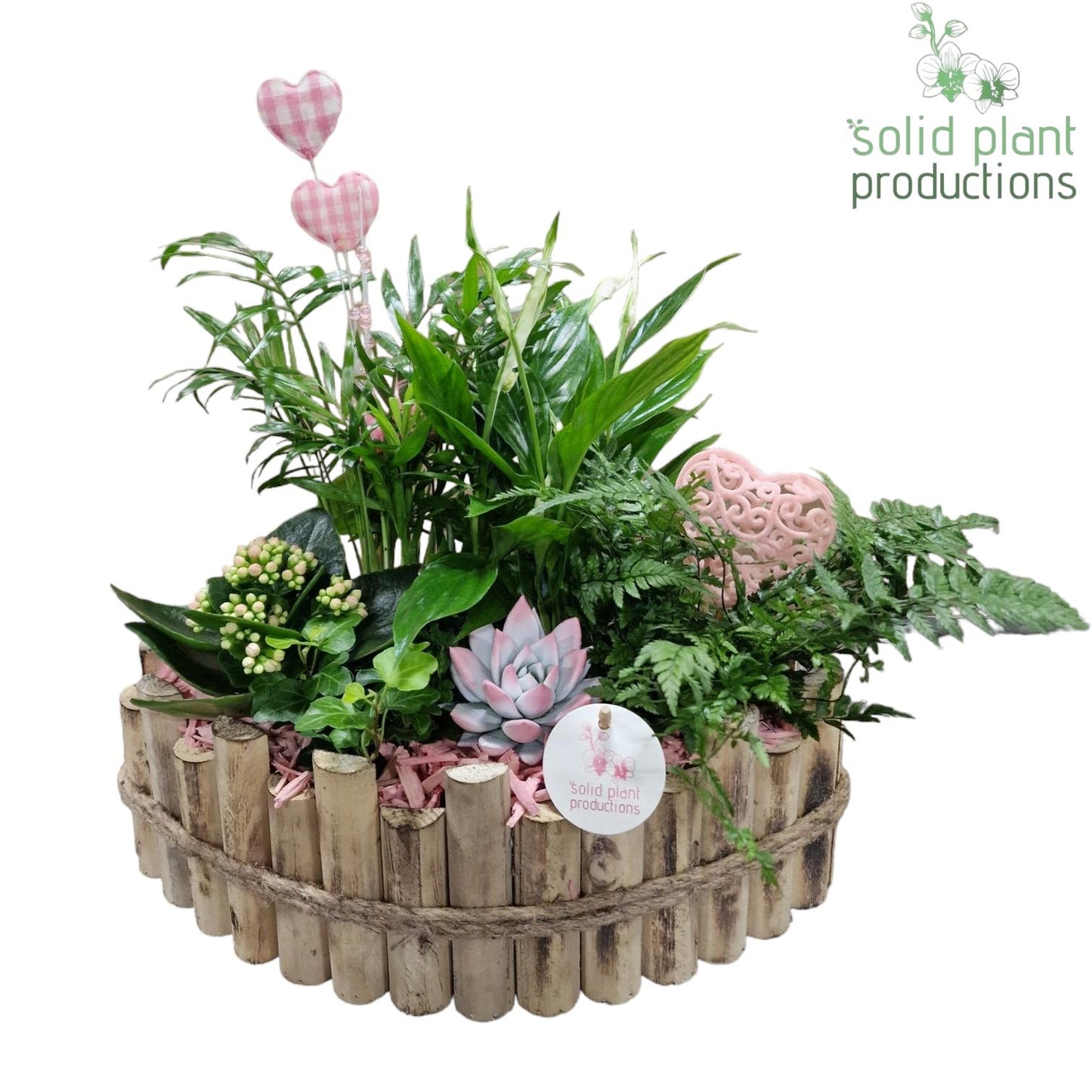 HVSCE006 Napoli Large Pink 40cm 35cm Pot
