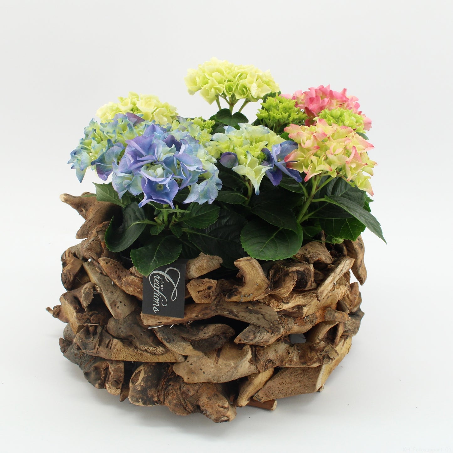 KHCR-2625M Hydrangea creatie 35cm 35cm Pot