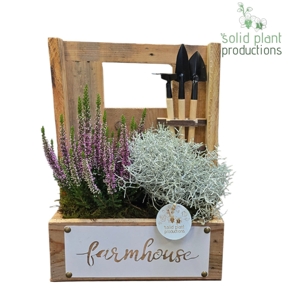 Outdoor arrangement 37cm 26cm Pot