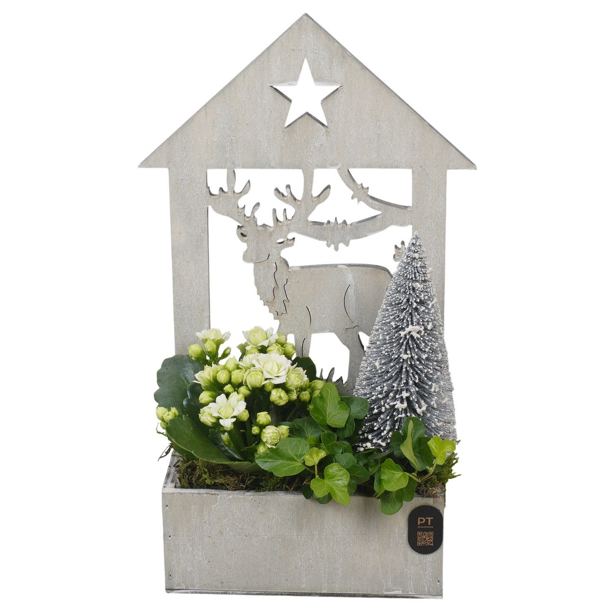 Christmas arrangement 32cm 16cm Pot