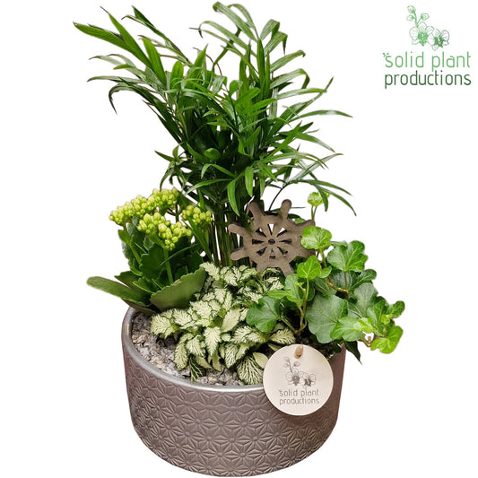 CH003 Loes Steel 38cm 18cm Pot