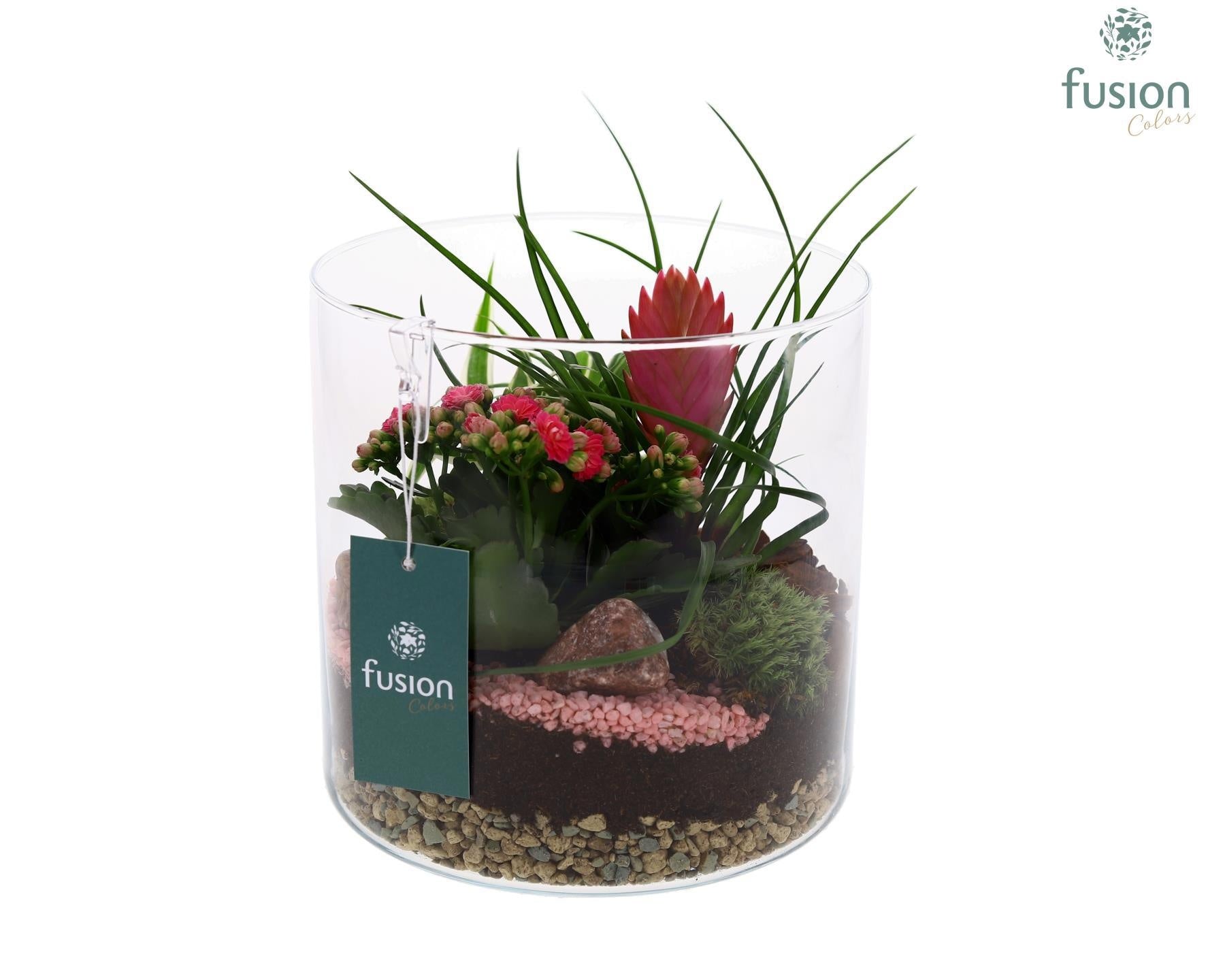 Glas Cilinder Lucille groot met arrangement bloei 3pp 20cm 19cm Pot