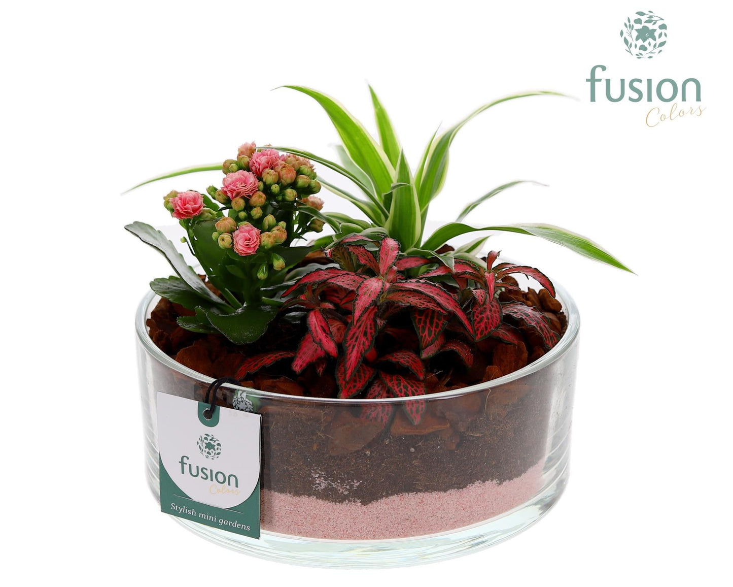 Glas cilinderschaal met Arrangement 3pp 15cm 19cm Pot