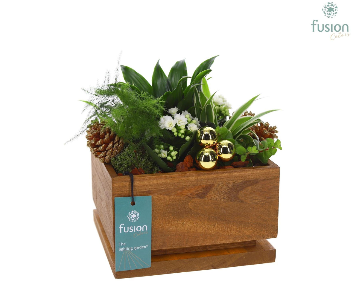 The Lighting Garden LED Large Kerst met arrangement 29cm 19cm Pot