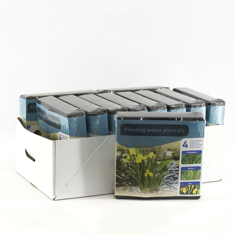 Waterplkw R. Moerings Do-it-yourself box Water plants Pontederia Pack of 11