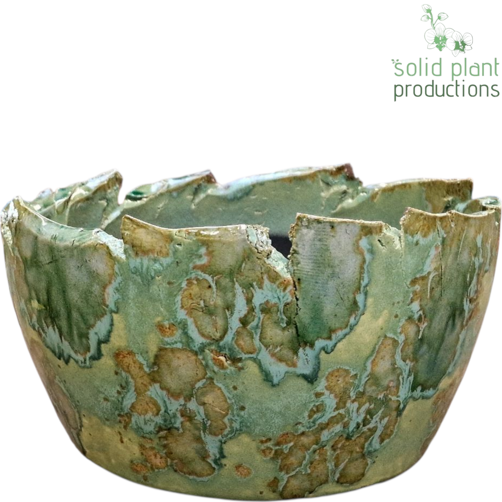 Olivia Green Bowl 11cm 24cm Pot