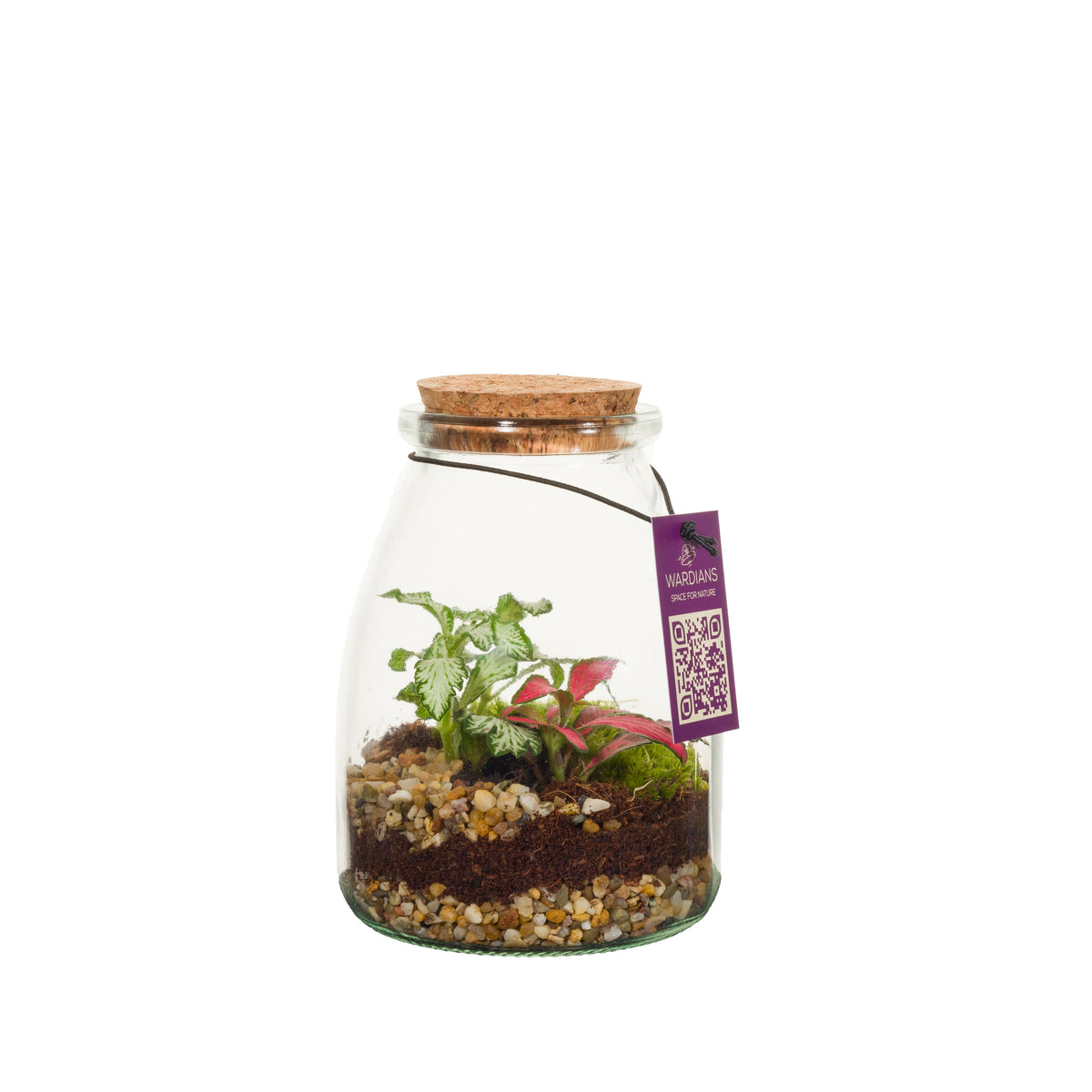 Wardians Terrarium - IO (10 pack transparant) 13cm 9cm Pot