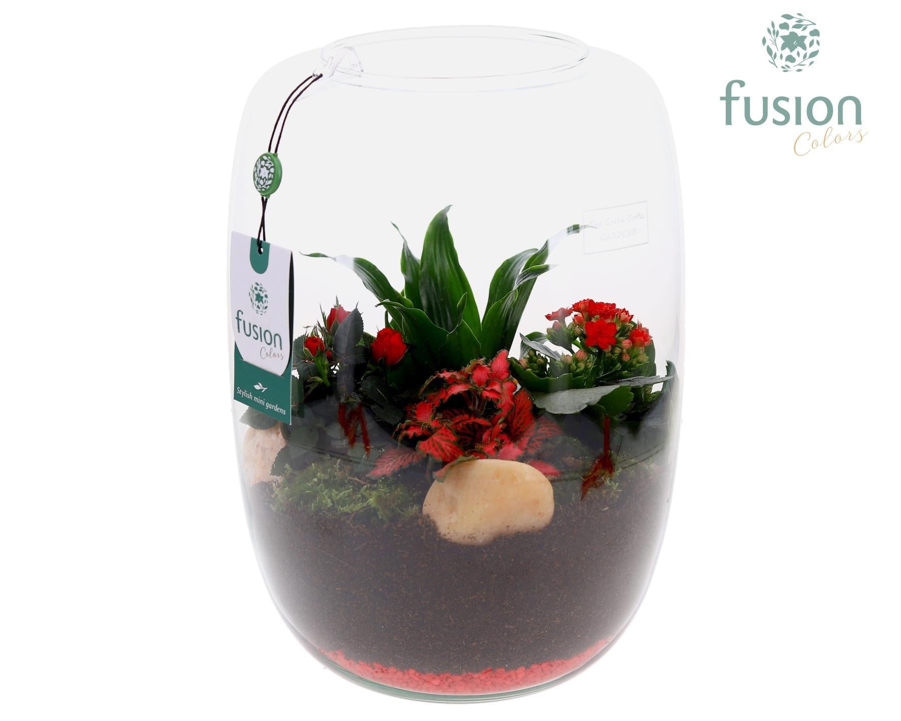 Green Bottle Love, Isabella XLarge met Arrangement D23 29cm 25cm Pot