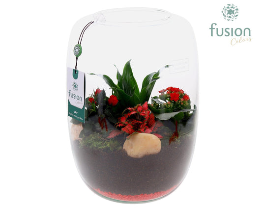 Green Bottle Love, Isabella XLarge met Arrangement D23 29cm 25cm Pot