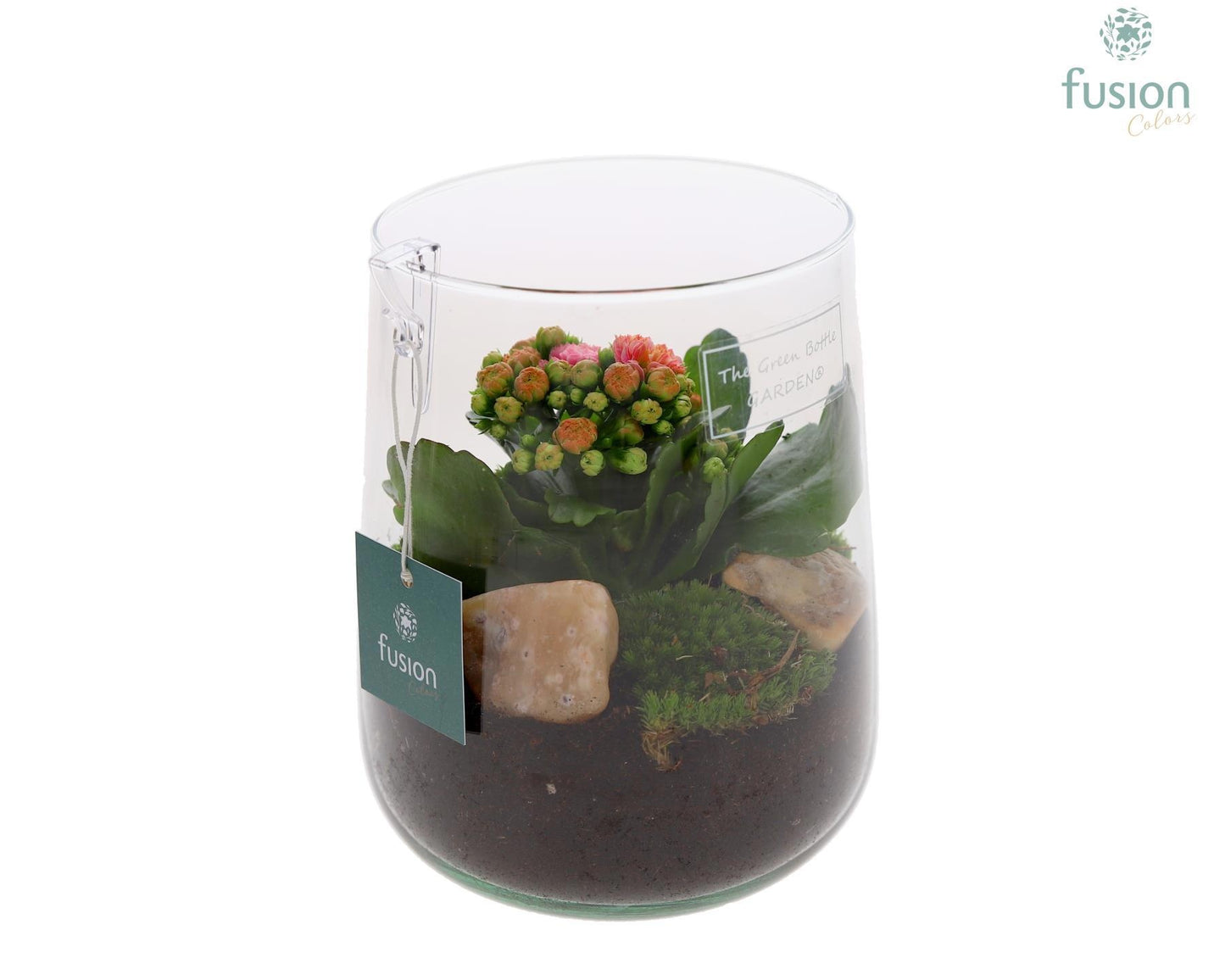 Green Bottle Deline Medium met Kalanchoe 20cm 13cm Pot