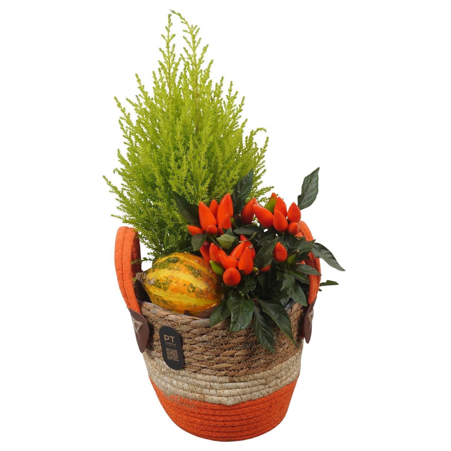 Outdoor arrangement 44cm 18cm Pot