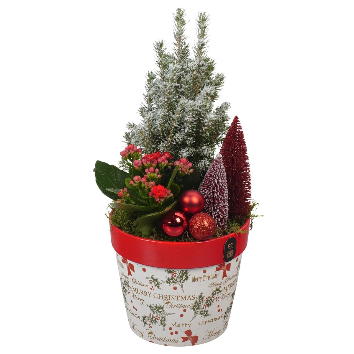 Christmas arrangement 38cm 16cm Pot