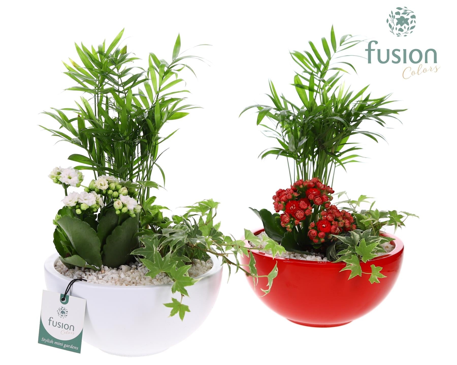 Fusioncolors BV Schaal keramiek Moon Medium wit en rood met arrangement Pack of 3
