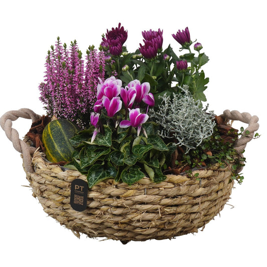Outdoor arrangement 29cm 31cm Pot
