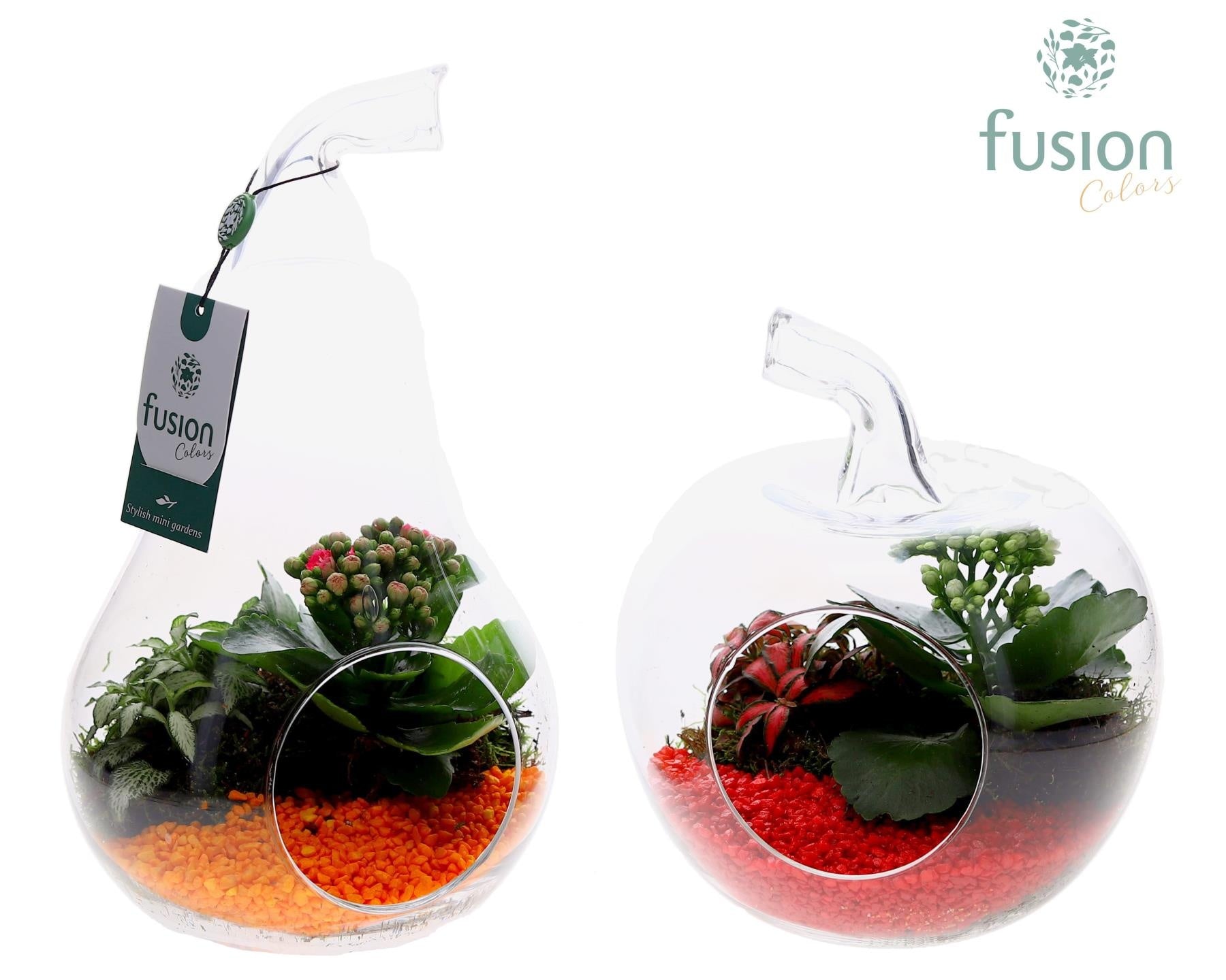 Glas Appel en Peer met arrangement 29cm 20cm Pot
