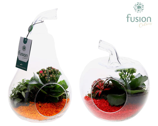 Glas Appel en Peer met arrangement 29cm 20cm Pot