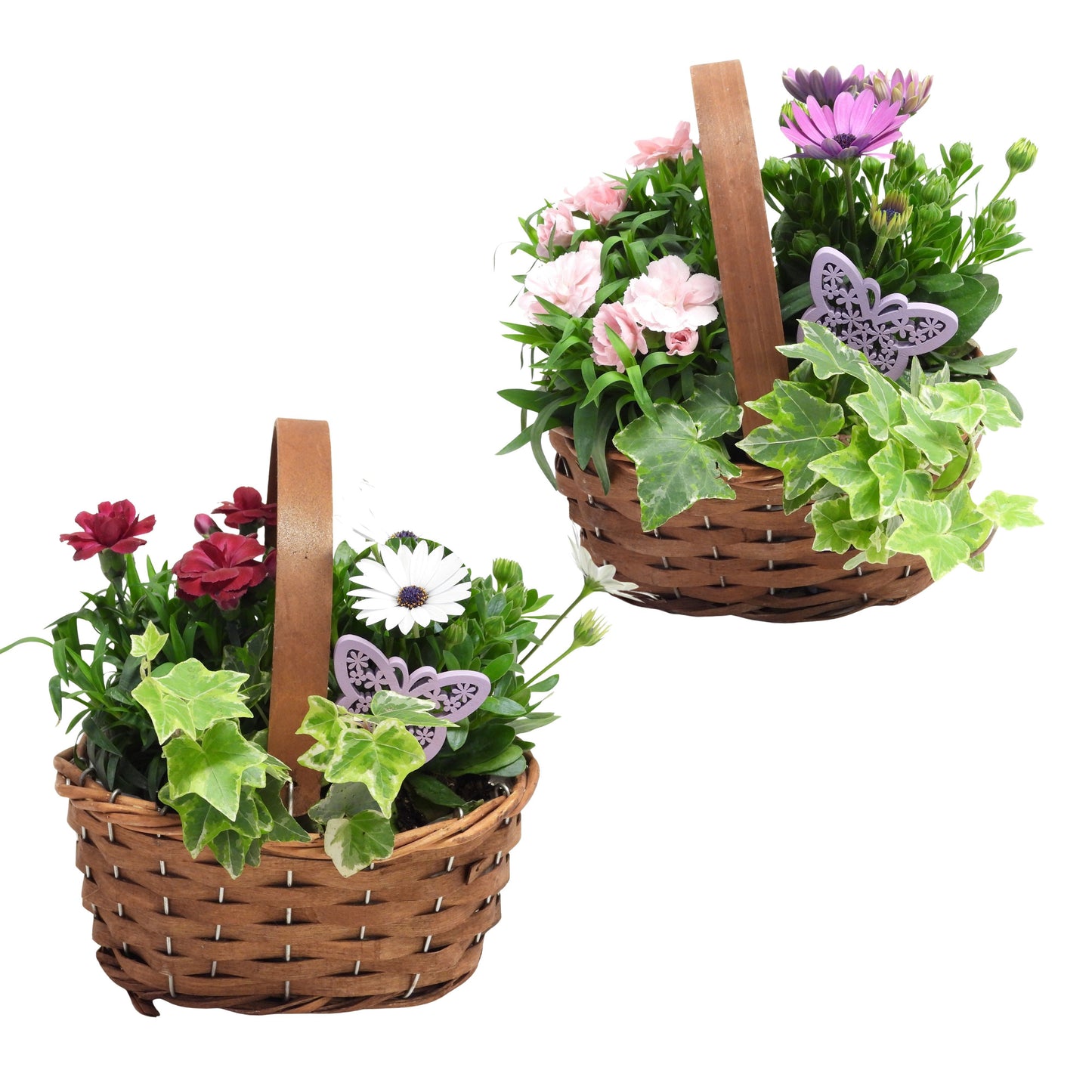 Outdoor arrangement 20cm Pot