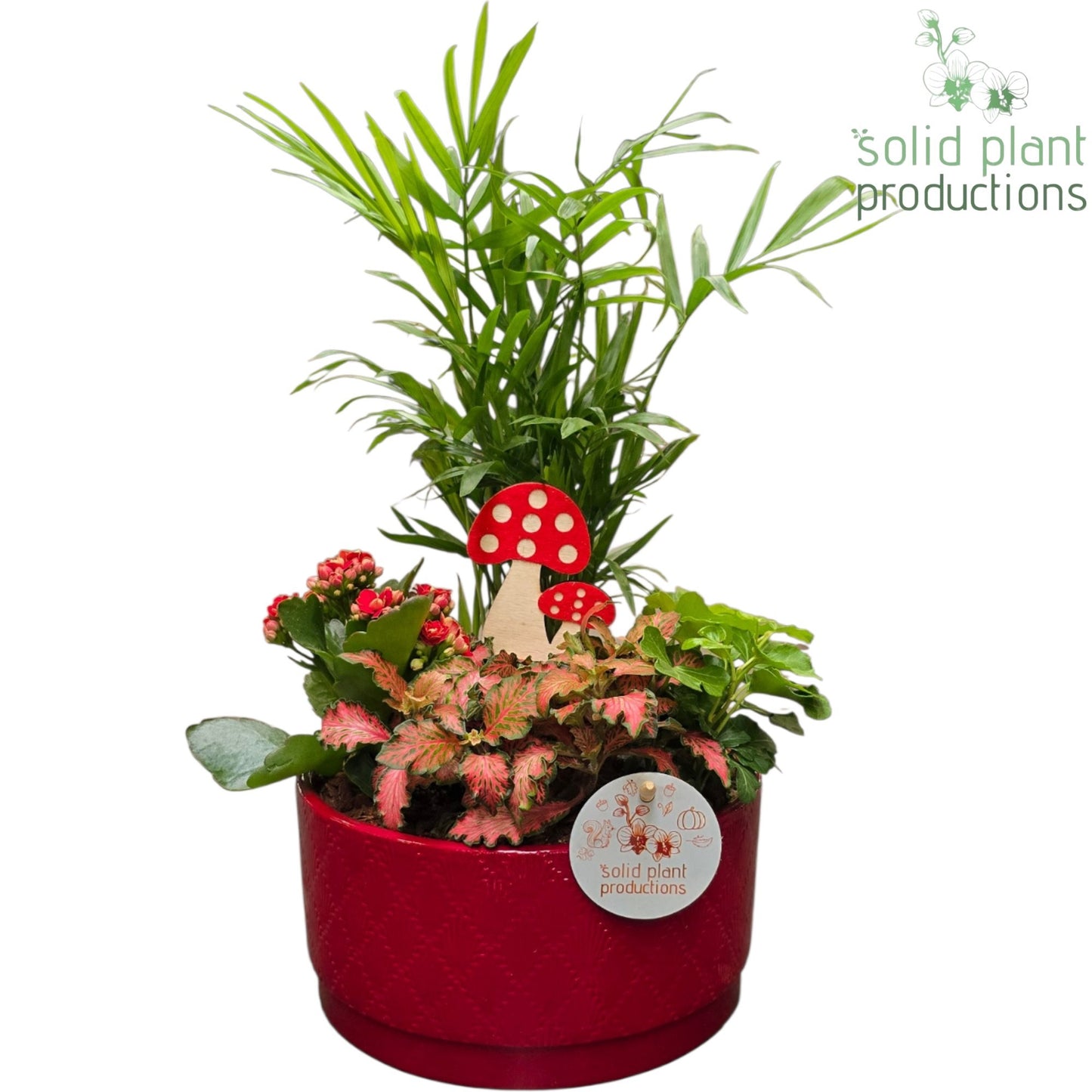 CH003 Loes Red 38cm 18cm Pot