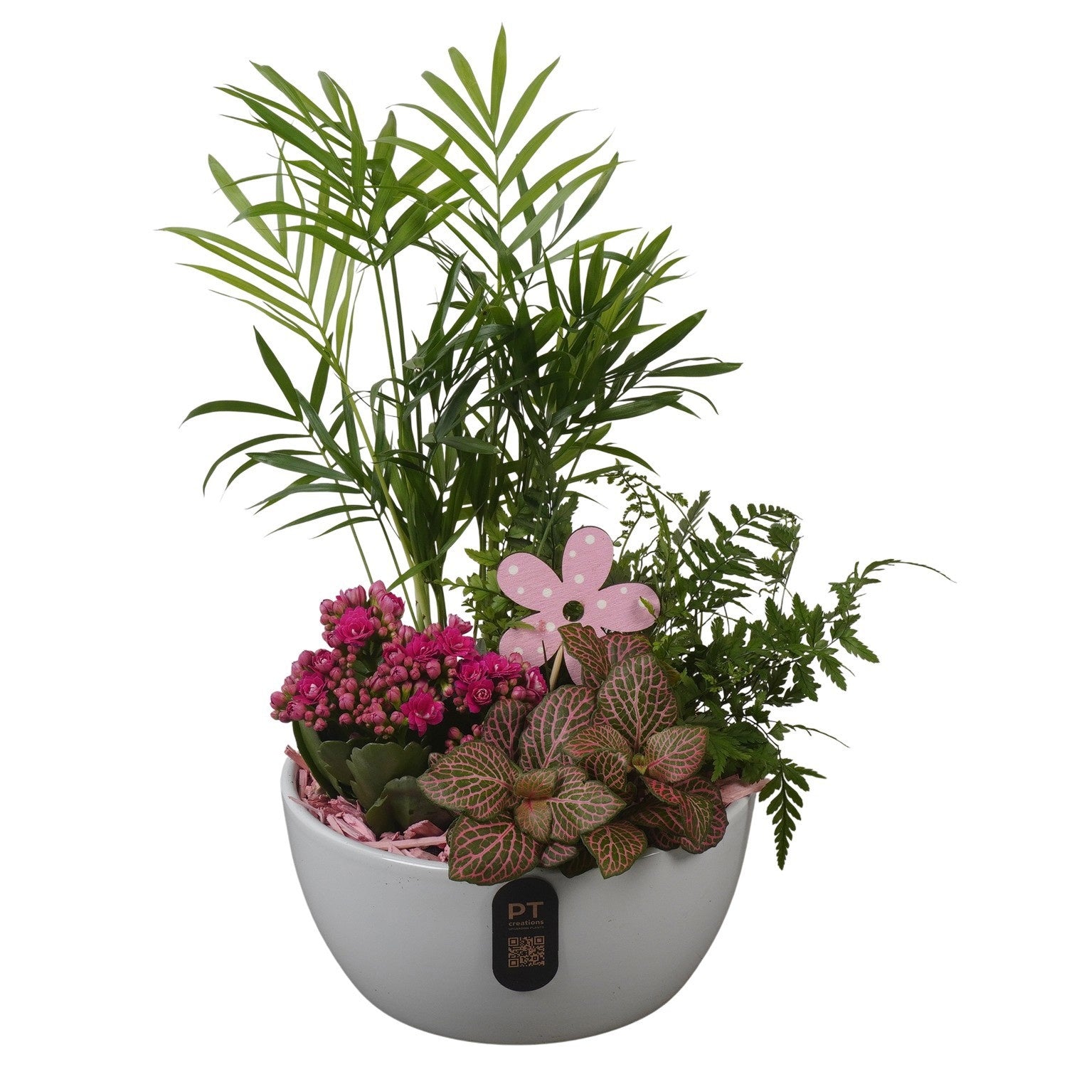 Indoor arrangement 36cm 18cm Pot