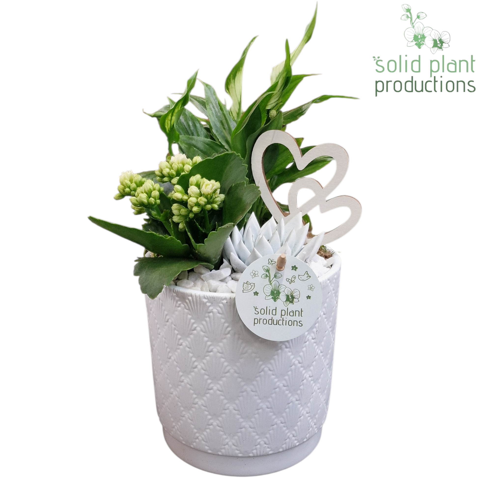 SE001 Amy White VM 35cm 13cm Pot