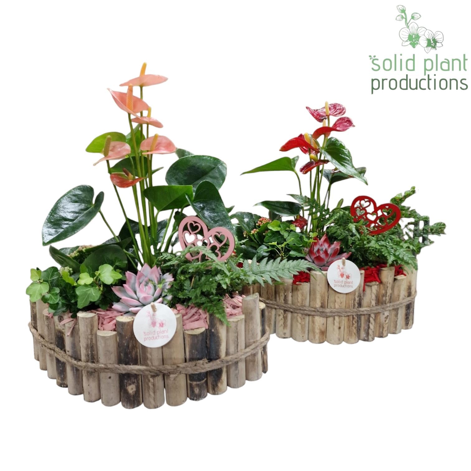 HVAE006 Napoli Large Red/Pink Mix 45cm 35cm Pot