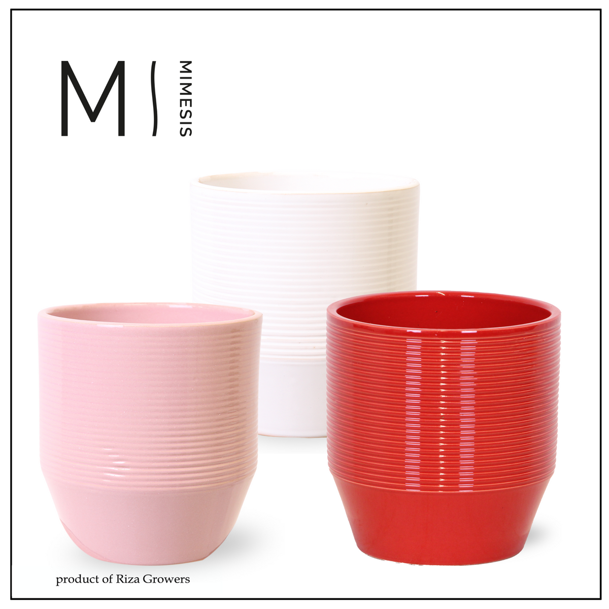 Ceramicpottery