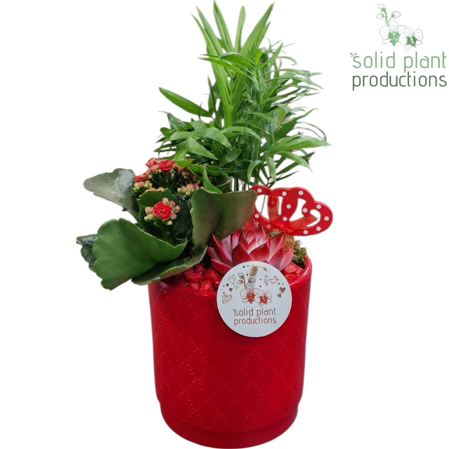 CE001 Amy Red VM 35cm 13cm Pot