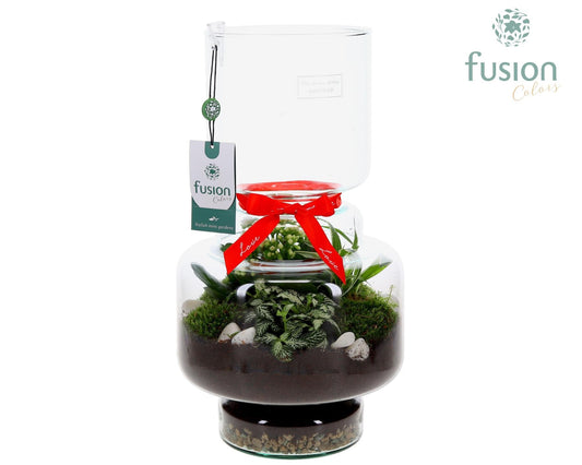 Green Bottle Lotte Large met Love arrangement 43cm 22cm Pot