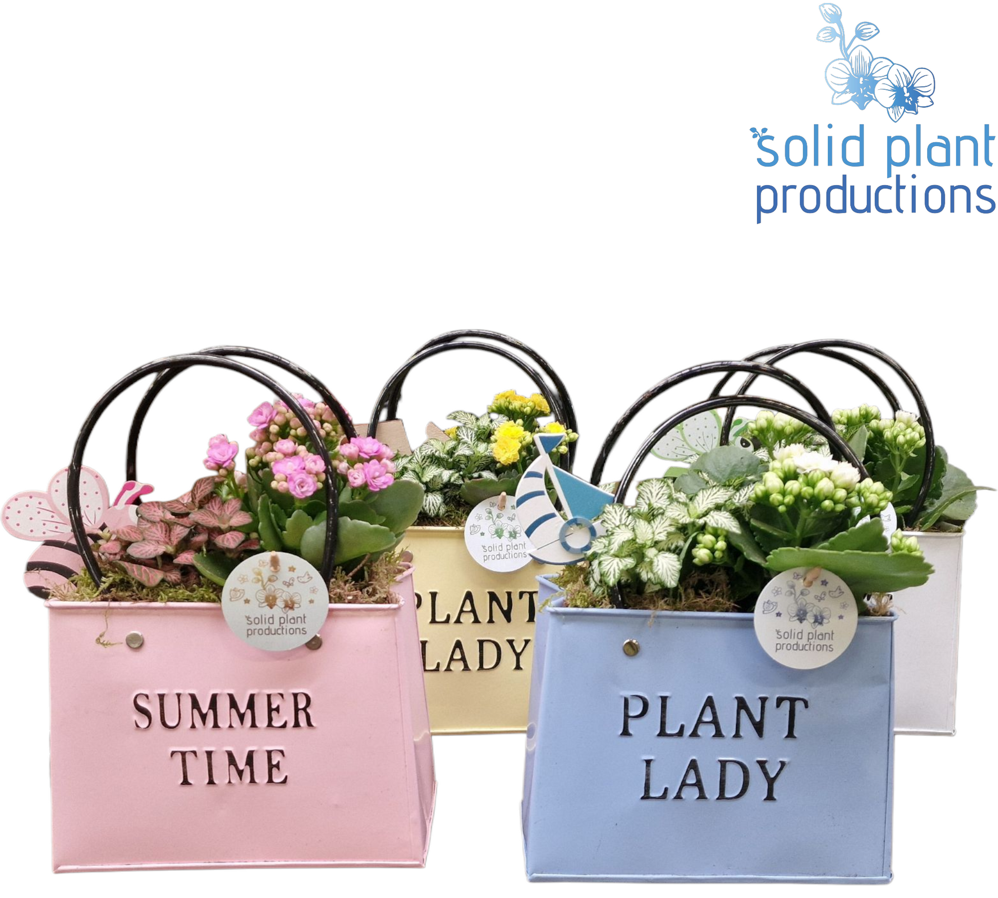 ZKE001 Summer Bag Mix Large 28cm 18cm Pot
