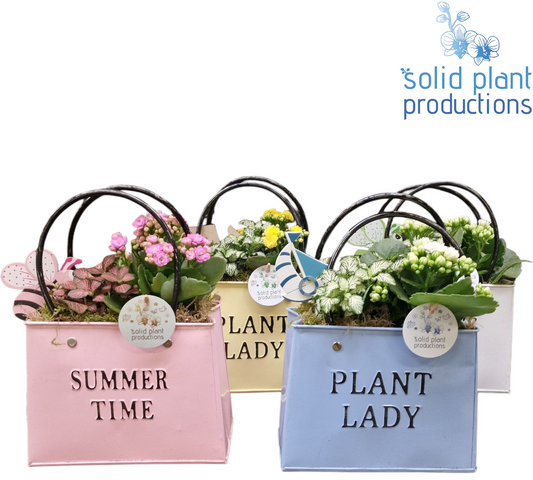 ZKE001 Summer Bag Mix Large 28cm 18cm Pot