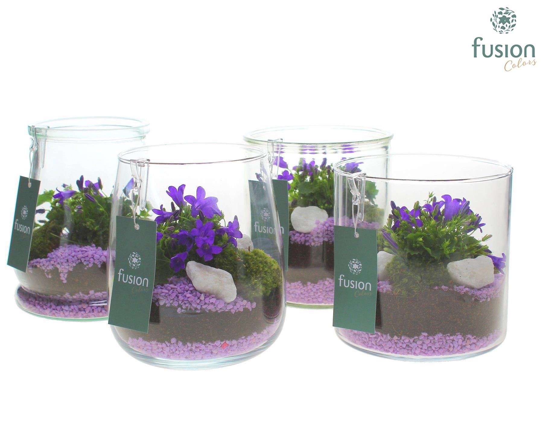 Glas mix Druppel, Julia, Dirk en Lucille met Campanula 24uur levertijd 15cm 16cm Pot