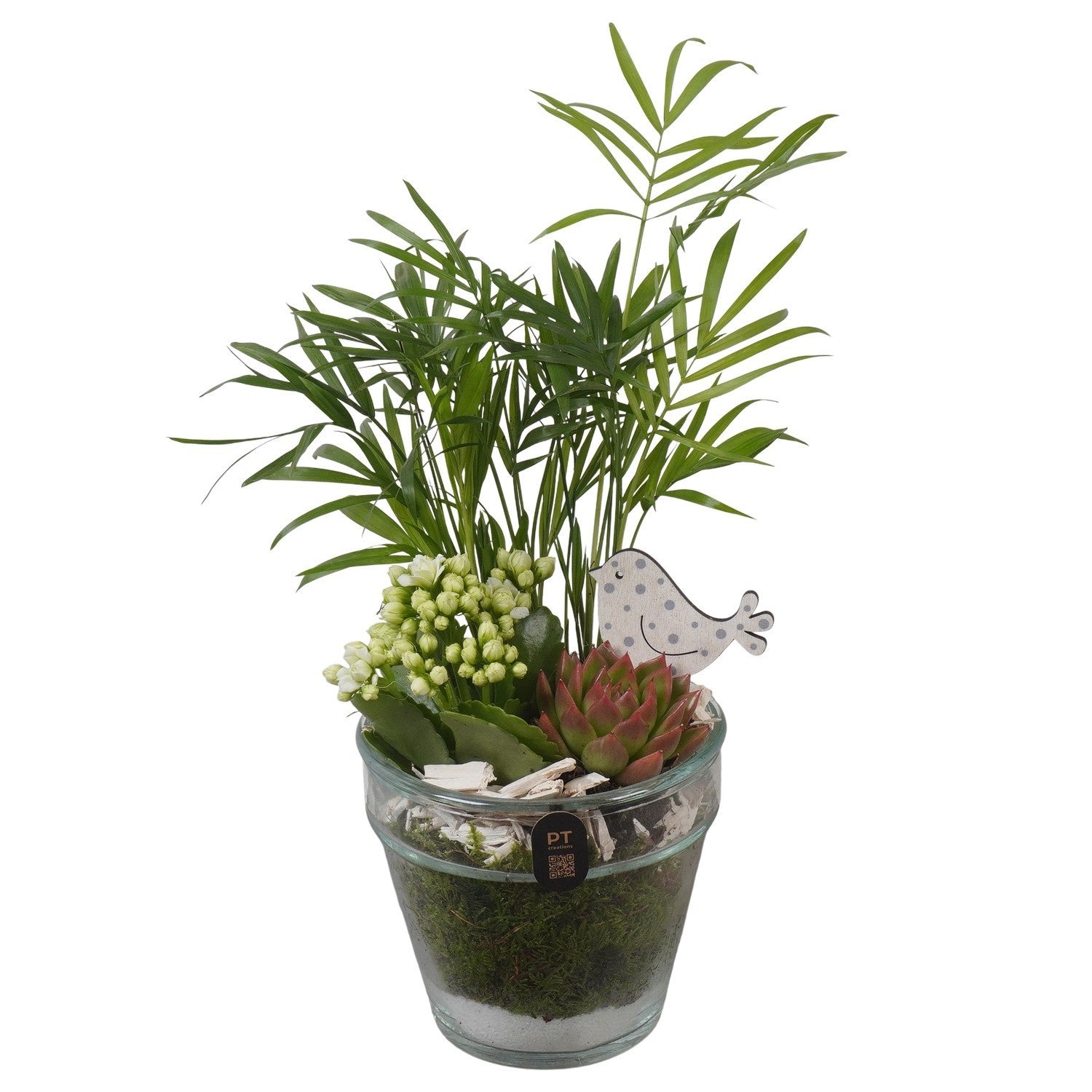 Indoor arrangement 32cm 13cm Pot