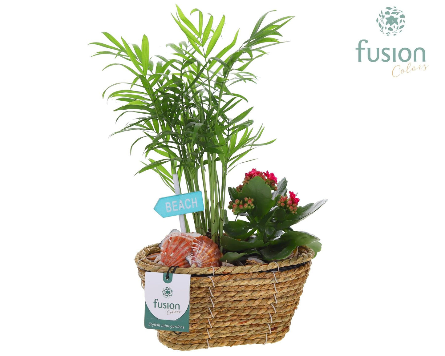 Mand zeegras ovaal Maritiem met Arrangement 29cm 18cm Pot