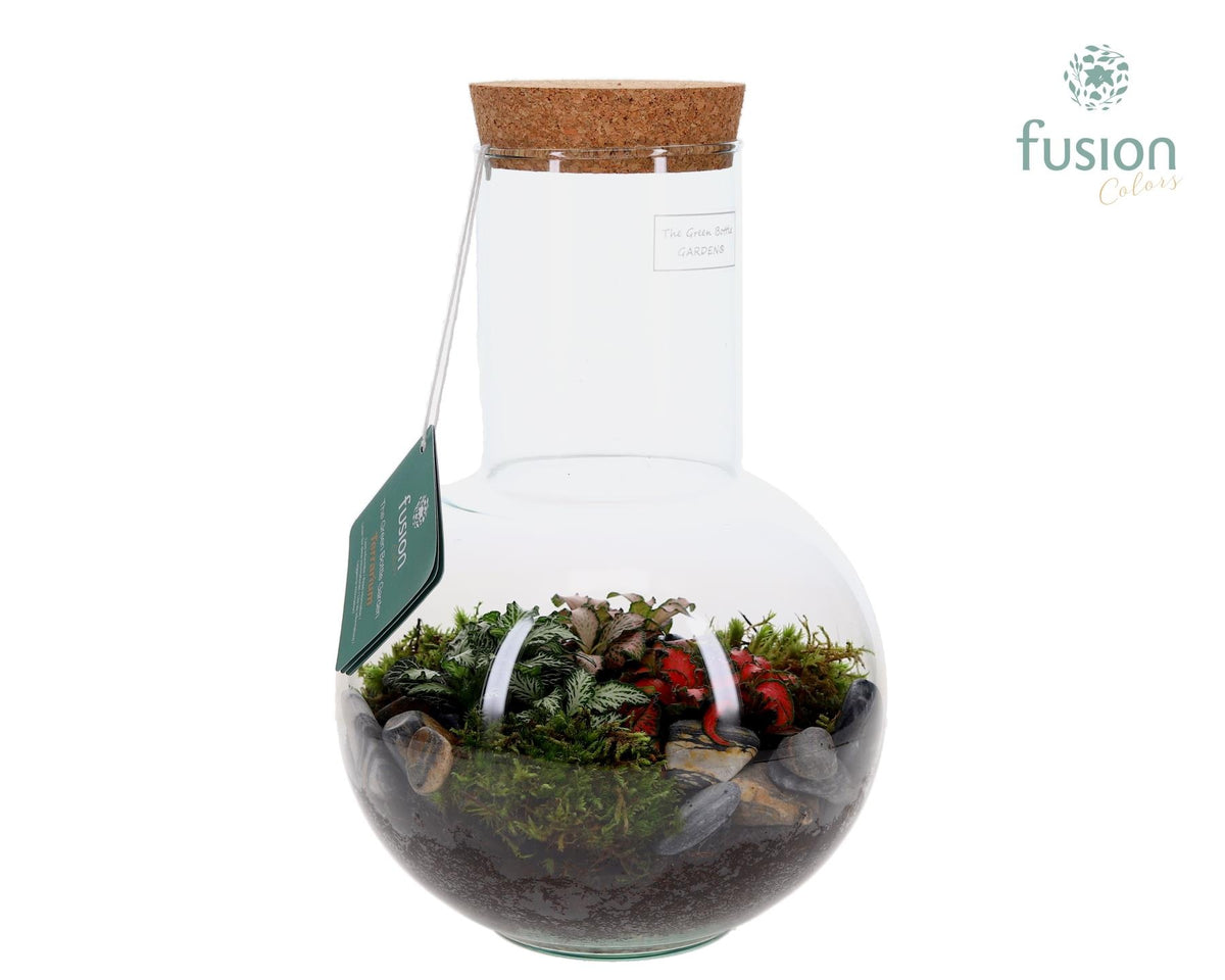 Green Bottle Suzanne Medium met Terrarium arrangement 35cm 21cm Pot