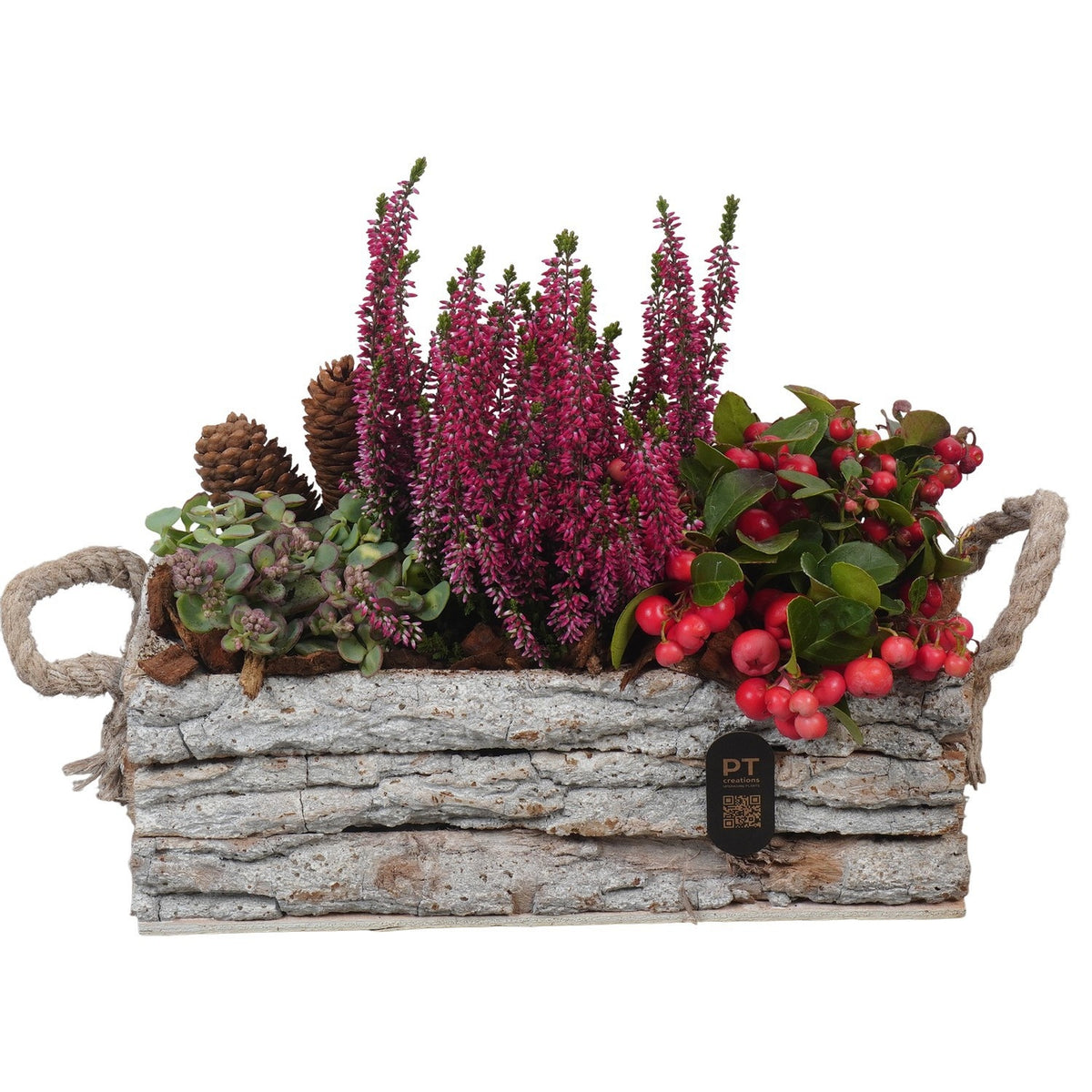 Outdoor arrangement 25cm 30cm Pot